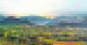 Suid-Afrikaanse wynbedryf verwelkom die wêreld by ‘Concours Mondial du Sauvignon’