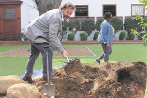 Celebrating Arbor Week