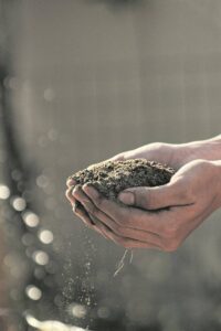 Tuine vir voedsel beplan