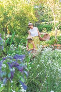 Stroll through Tokara’s tranquil garden paths adorned with magnificent botanical sculptures