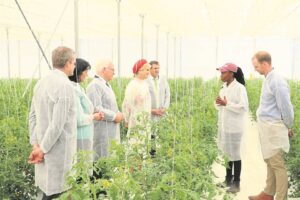 Dutch Queen visits Stellenbosch University