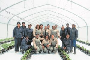 Hydroponic greenhouse tunnel to learn in