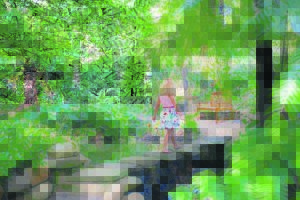 Rare plant fair, open garden