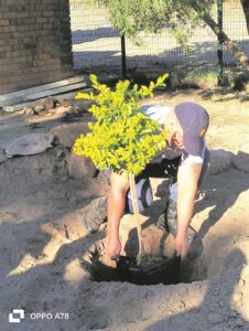 Warrant officer remembered