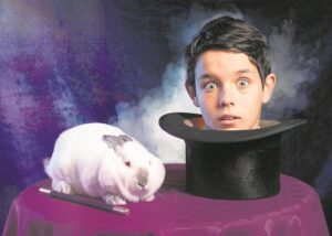 Enter college and learn the fine art of magic