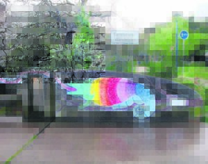 Muurskildery by Eersterivier bly