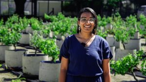 Cast your vote in food security challenge