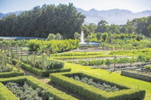 Boschendal’s gardens recognised