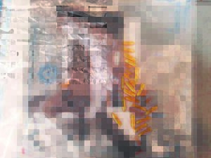 Gemeenskap lei polisie na wapens