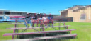 Skool skenk 3 pawiljoene