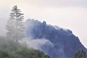 Ysige winter se eerste sneeu