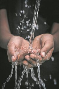 Continue using water sparingly until the winter-rainfall season arrives, and beyond