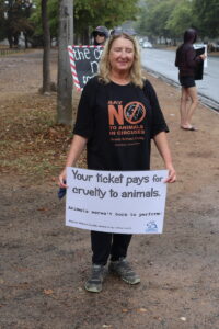 Not so fun at the circus for everyone, organisation says