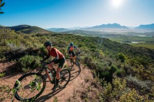 Mountain-bike ride the Bottelary Hills and commune with nature