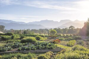 Kostuin by Boschendal trek nuwe baadjie aan