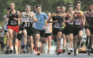 Aanslag op gewilde straatmyl kom
