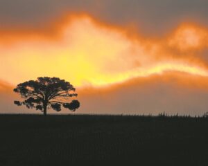 Eikestad – mooier as mooi