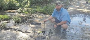 Beurtkrag oorsaak van stank en slyk in Eersterivier