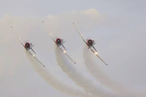 Drie ‘leeus’ vlieg tesame