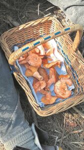 Soek saam vir sampioene by Delheim