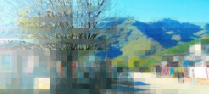 Franschhoek loop deur onder geslagsgebaseerde geweld