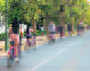 Matie bike rent test ride