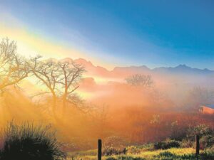 LESER’S FOTO: So mooi soos spookasem