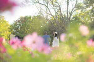 Enjoy a romantic Valentine’s movie night at Vergelegen