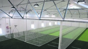 PRG-krieket nou onder dak