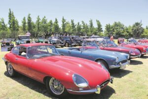 Klassieke motors byeen vir Eeu-rit