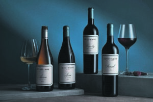 The patient, the feisty, the curious and the playful . . .