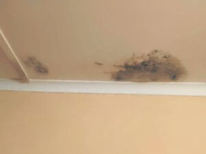 Huise bly glo lek ná herstelwerk