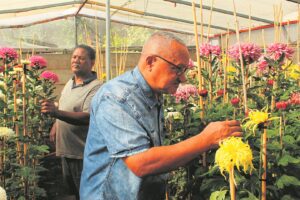 Asterskou terug na 2 jaar