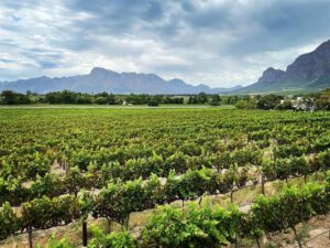 Stellenbosch Municipality unveils budget for affordable services with revised tariffs