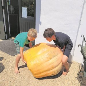 Stellenbosch Waldorf School learners grow huge pumpkin