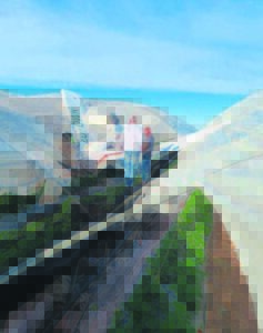 Vliegtuig val in Stellenbosch