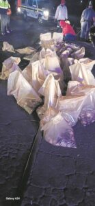 Almost 5 000 abalone found