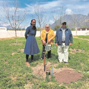 Orchard gets fig cultivars