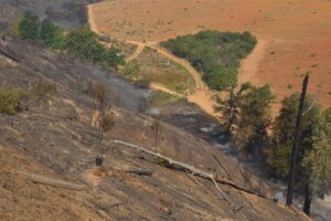 Brand woed vir vierde dag