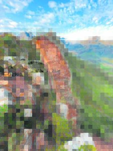 Experience nature for free this week