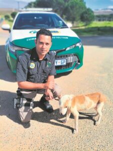 Armed response crucial in keeping Stellenbosch safe