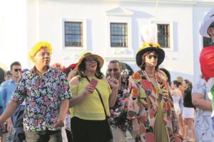 GALLERY: Stellenbosch erupts in a feast of floral colours