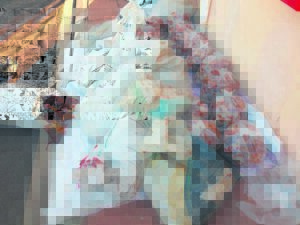 Twee mans met duisende krewe betrap