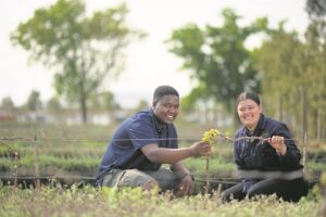 Vergenoegd Löw – a quiet cosmos far away from the madding crowd