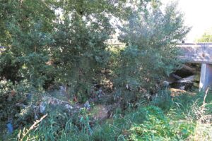 Riool besoedel riviere, AfriForum dring op antwoorde aan