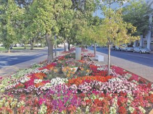 Eikestad wys pragtige kleure