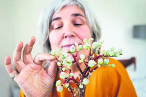 Journey through taste, tradition