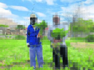 Kara hou leerders fluks en gesond