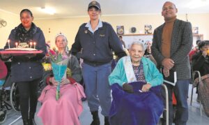 Groot mylpale in styl gevier