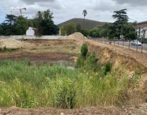 Appél kom oor gat in Birdstraat